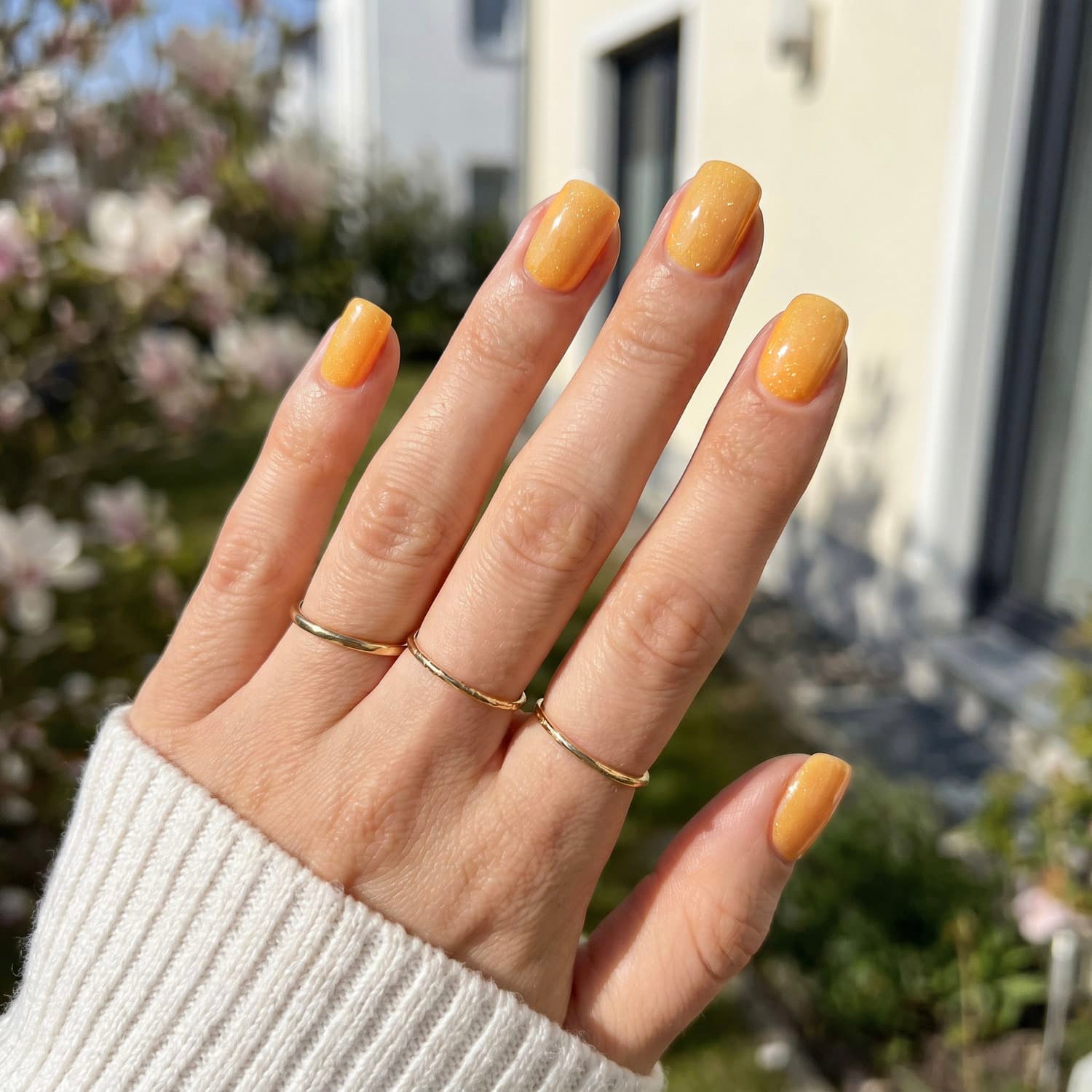 Sweet Mango