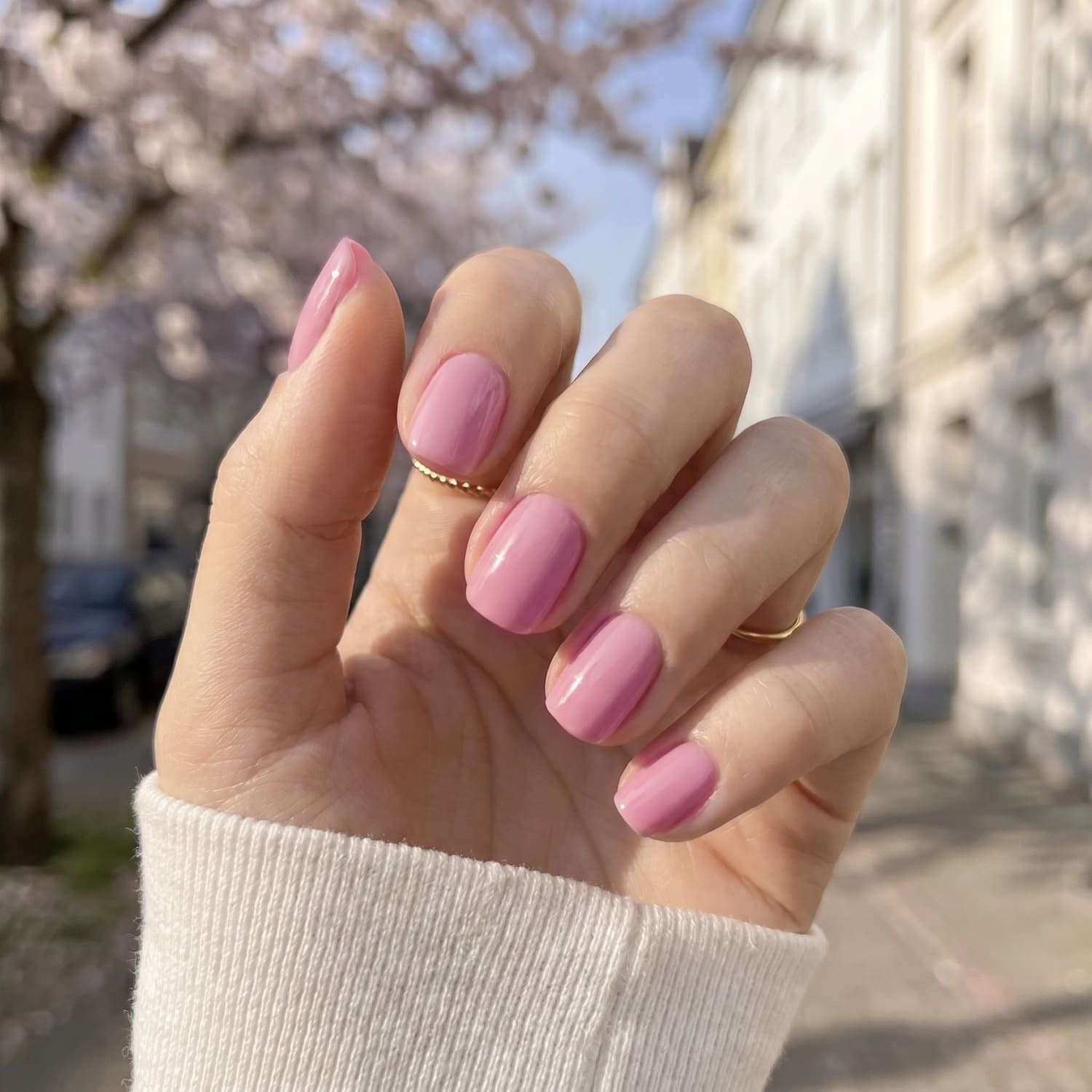 Bubblegum