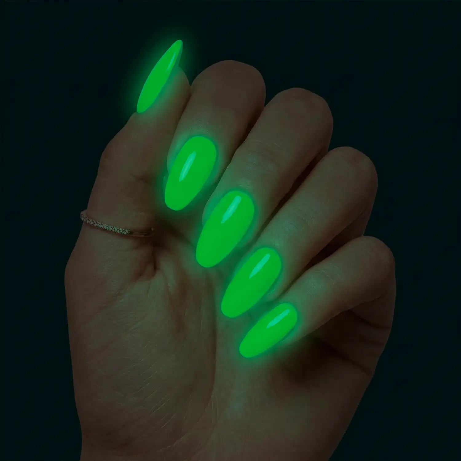 Palm Glow
