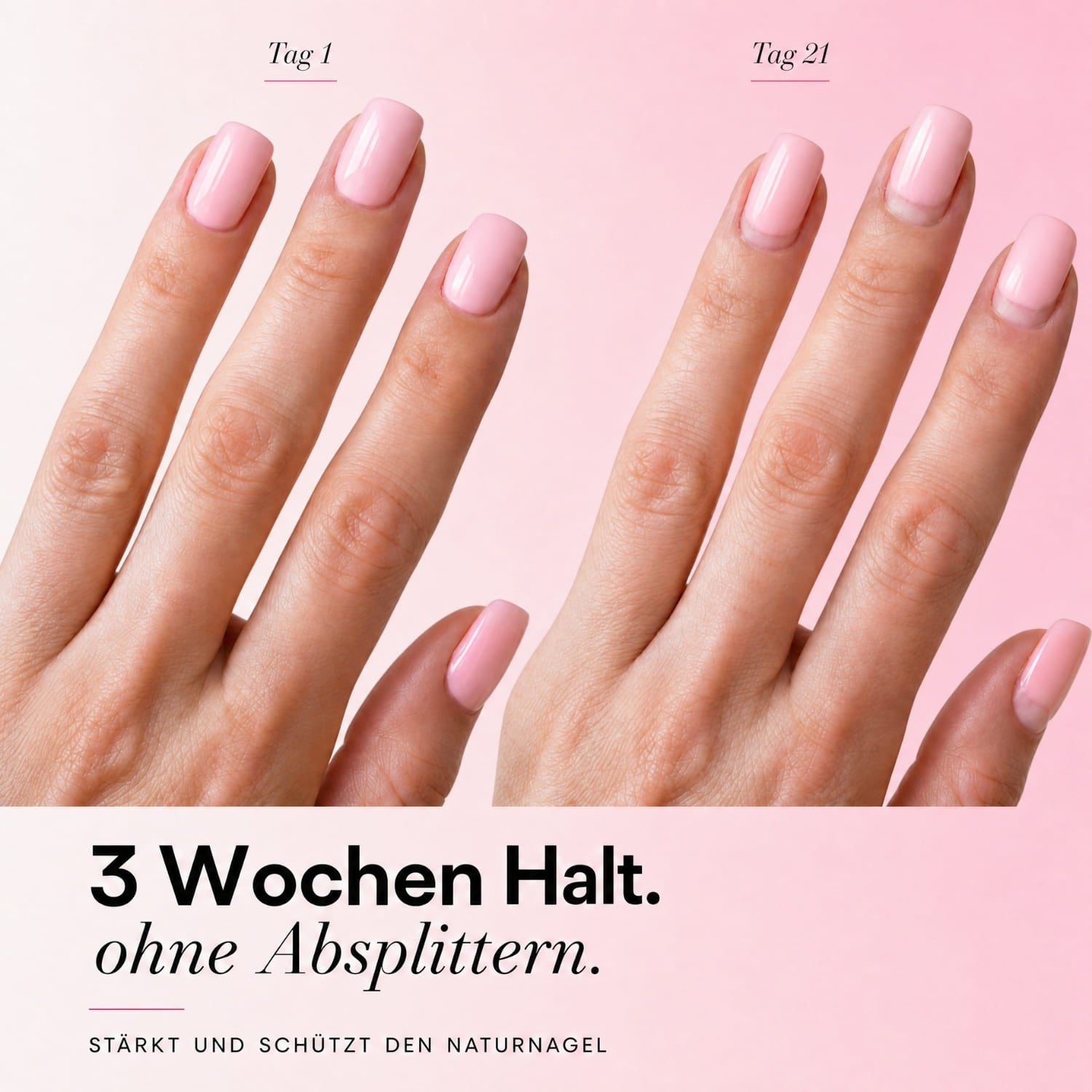 Premium Set - Dipping Powder