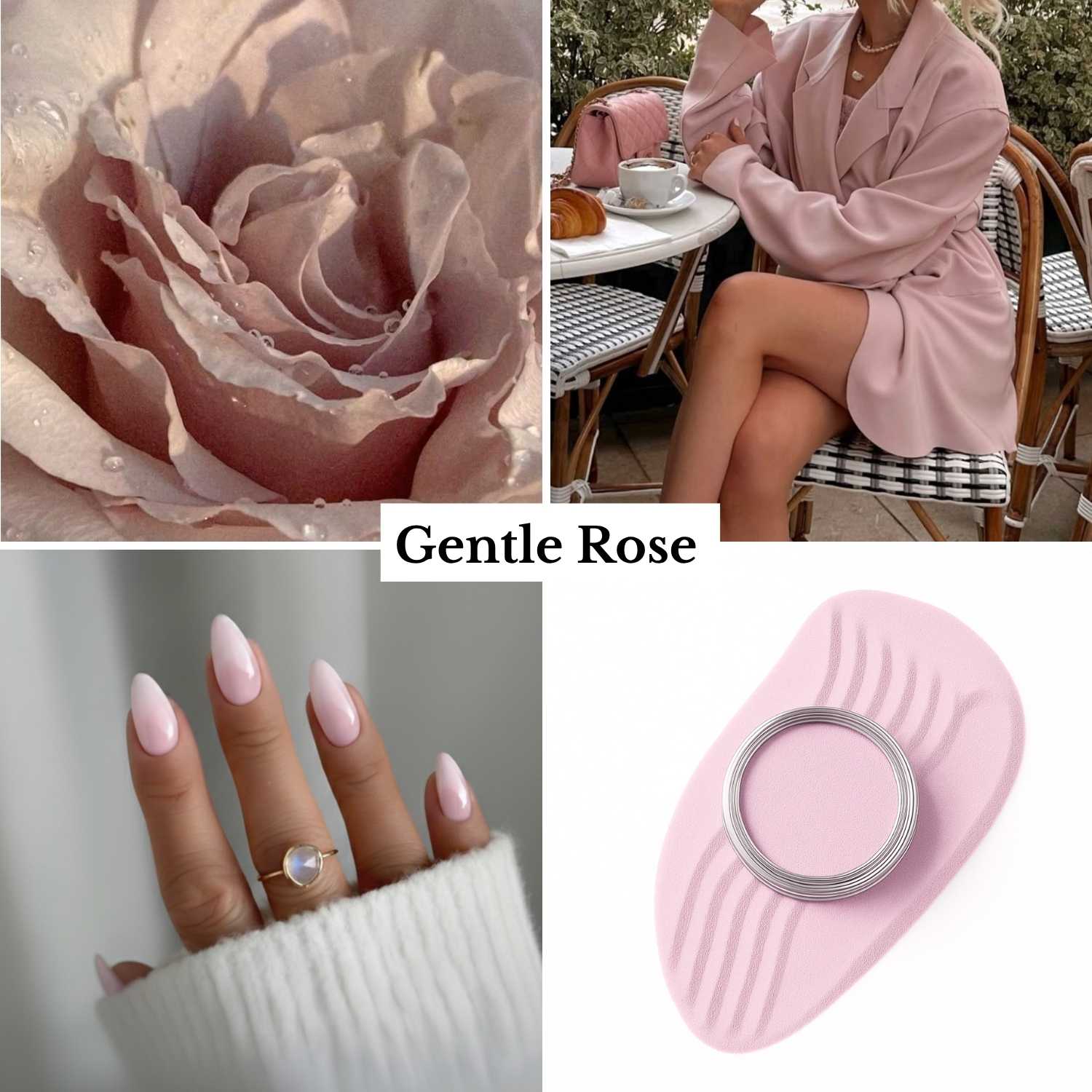 Gentle Rose